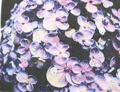 Creamie t-shirt cloud photoprint